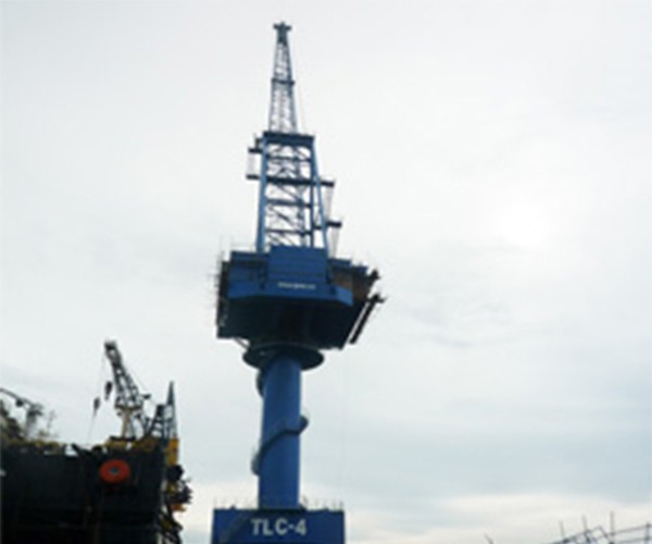 MQ5080D Portal Crane (TLC-4)