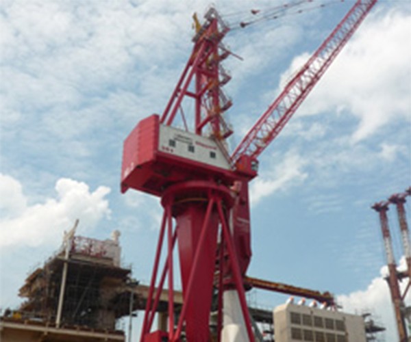 36T Level Luffing Portal Crane(12m) type 2