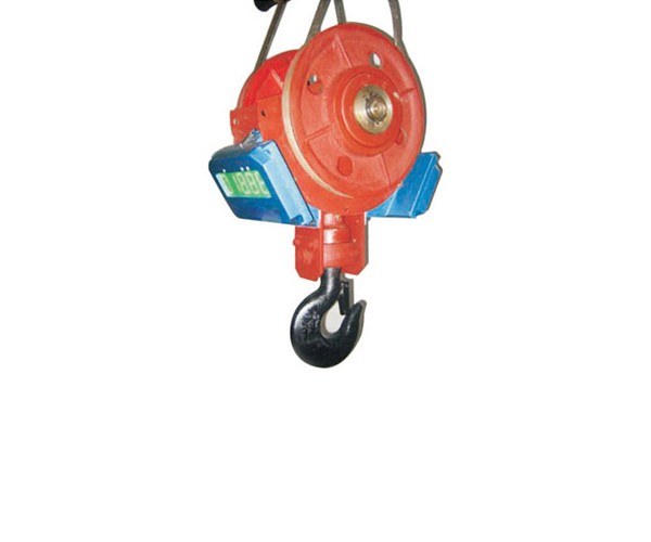 Lifting Hook1
