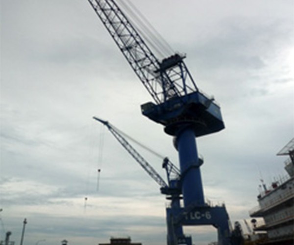 MQ3050D Portal Crane (TLC-3)