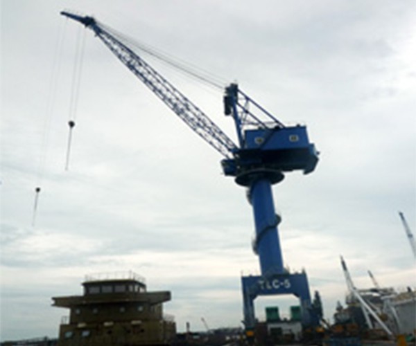 MQ3050D Portal Crane (TLC-5)